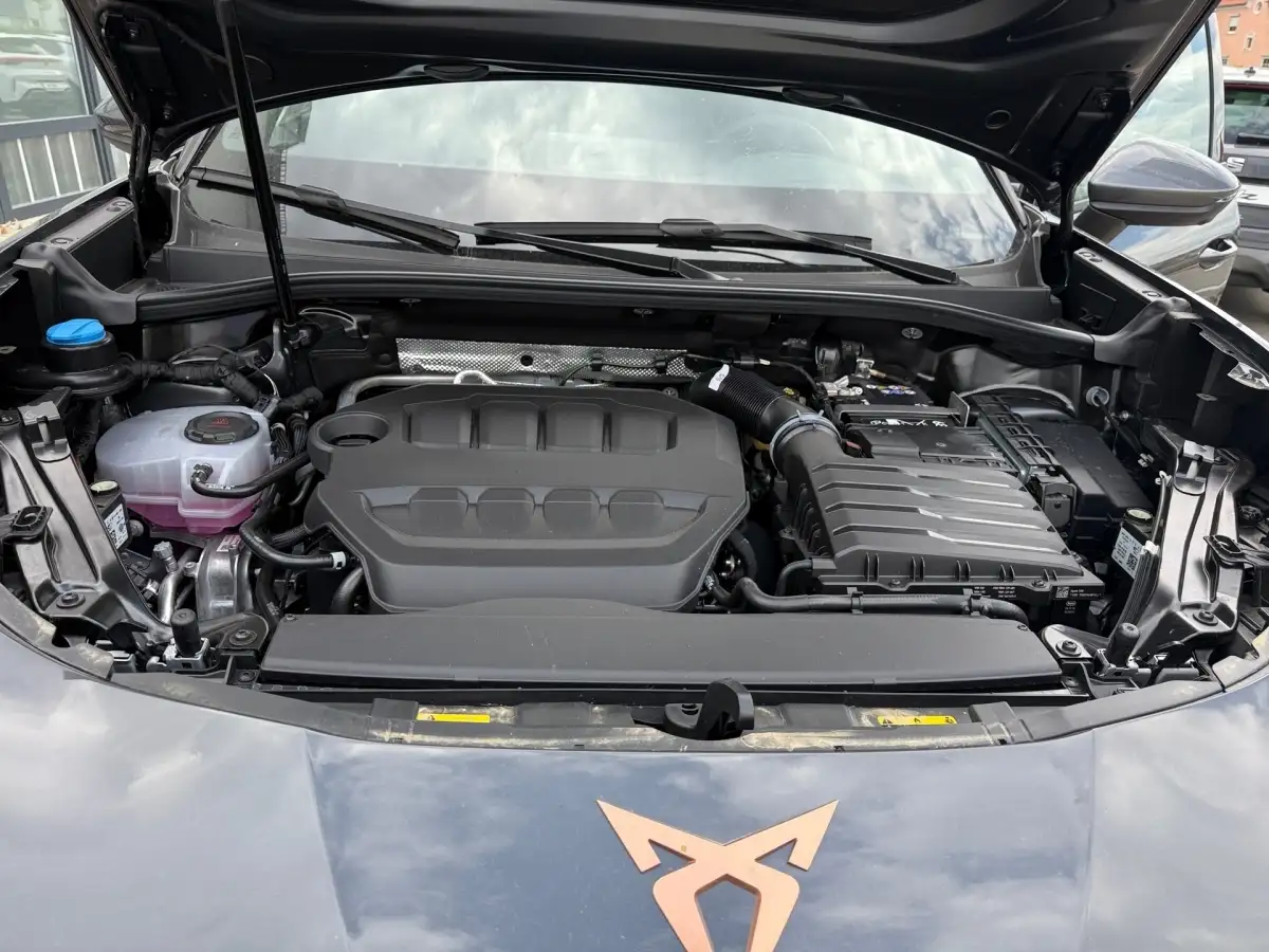 Cupra Terramar, SUV/Geländewagen/Pickup, Benzin, Automatik, Grau