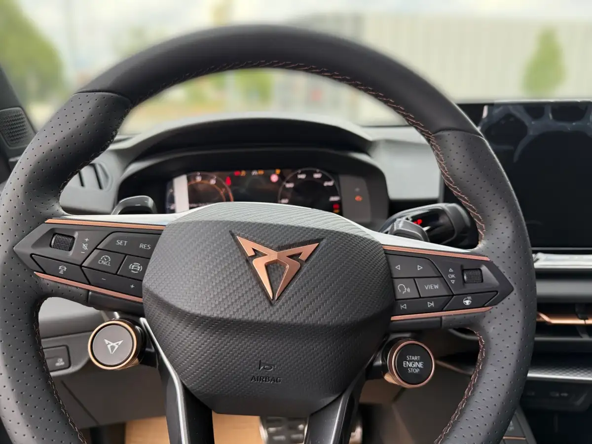 Cupra Terramar, SUV/Geländewagen/Pickup, Benzin, Automatik, Grau