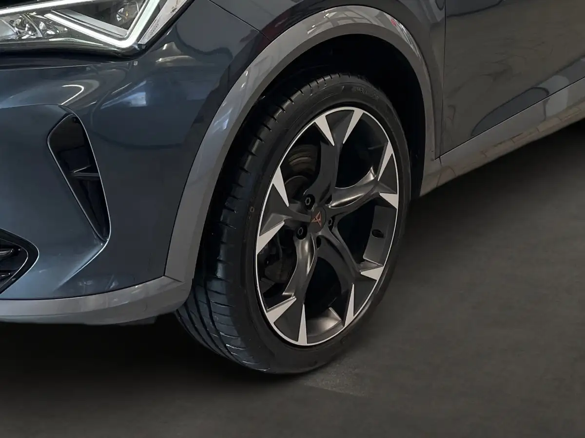 Cupra Formentor, SUV/Geländewagen/Pickup, Diesel, Automatik, Grau