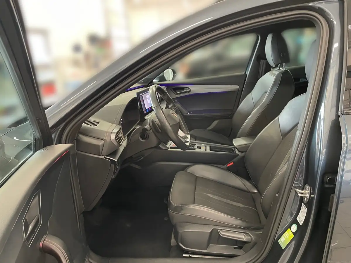 Cupra Formentor, SUV/Geländewagen/Pickup, Diesel, Automatik, Grau