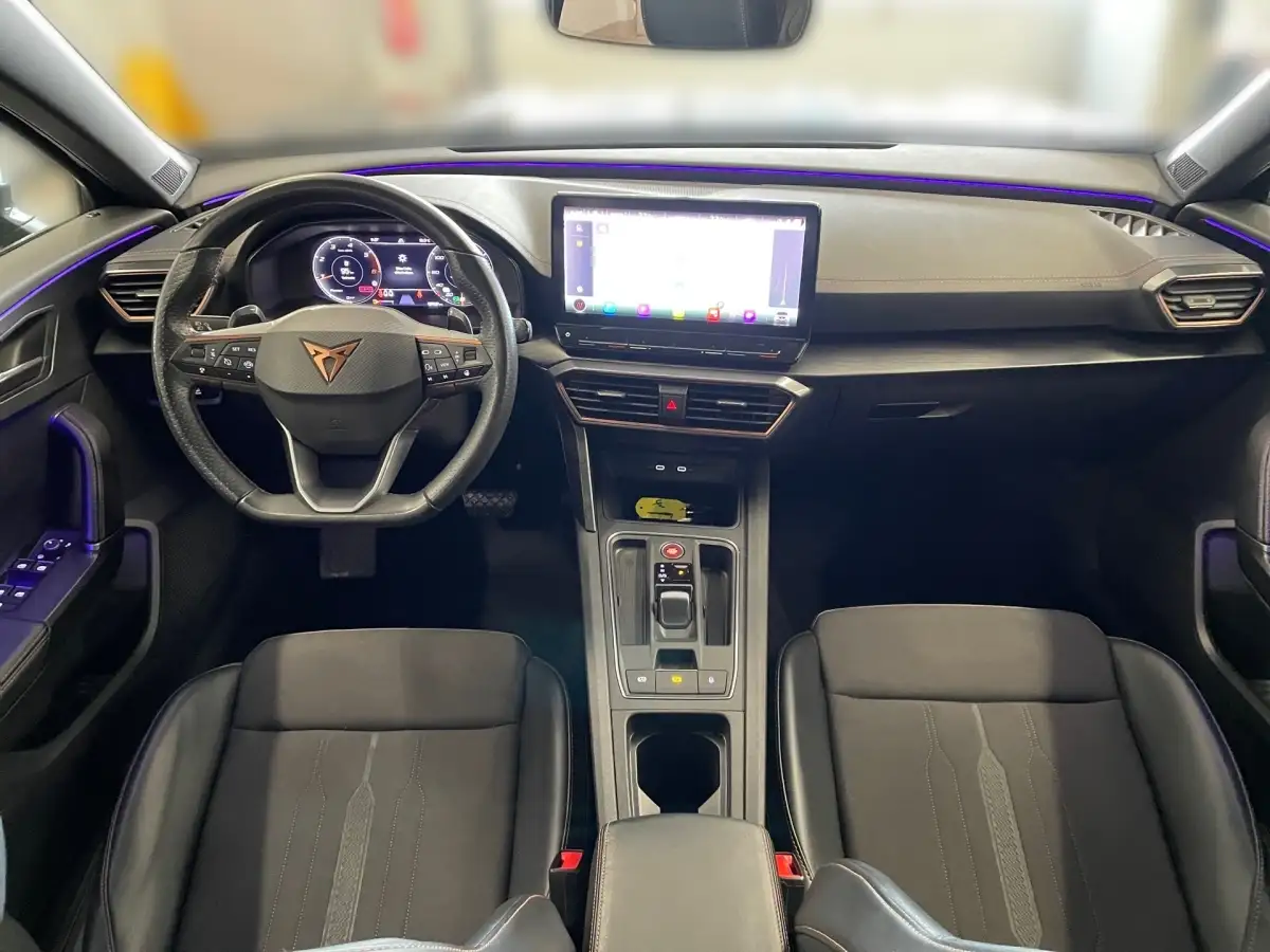 Cupra Formentor, SUV/Geländewagen/Pickup, Diesel, Automatik, Grau
